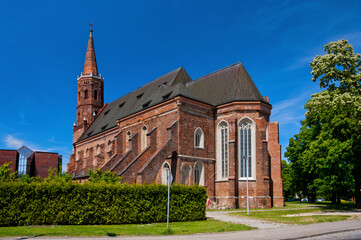 Fototapeta premium Gothic collegiate church in Glogow, town in Lower Silesian Voivodeship, Poland.