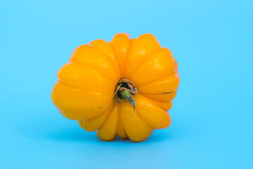 Ugly vegetables concept. Tomatoes of various unusual shapes on a blue minimal background. A...