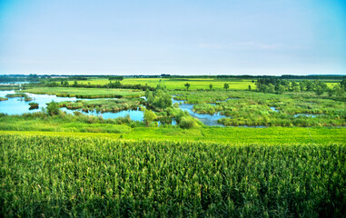 Fototapeta na wymiar Landscape with farm and pond