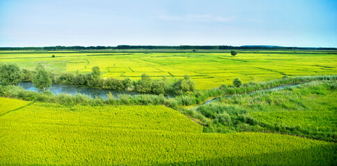 Fototapeta na wymiar Landscape with farm and pond