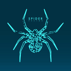 Abstract spider illustration.