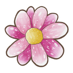 Fototapeta premium Brown line flower. Pink petals and yellow pollen. Raster png transparent illustration for decorate and any design.