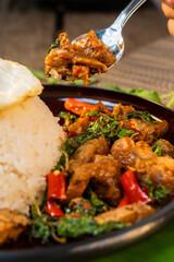 Thai street food spicy (kao pad kapao khaidao) 