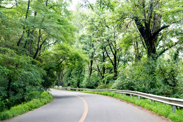 Asphalt curvy road through the deep forest