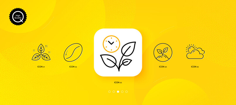 Fair trade, Leaves and Sunny weather minimal line icons. Yellow abstract background. Startup, Coffee beans icons. For web, application, printing. Leaf, Grow plant, Summer. Launch project. Vector