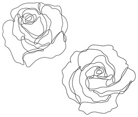 Rose flowers png. Set of hand drawn sketches. Line Ink drawing. 