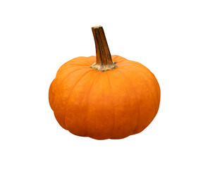 Pumpkin Isolated with Clipping Path, Squash Farm, Orange Autumn Pumpkins Harvest