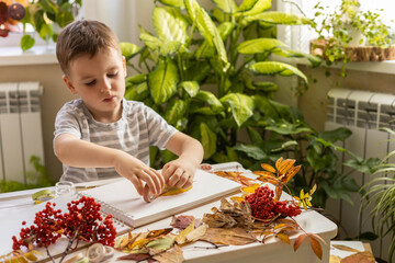 A child makes a herbarium from autumn colorful leaves. Happy autumn time.