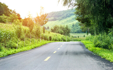 Asphalt road through green field in summer day