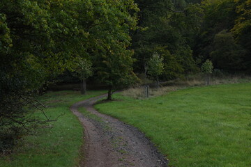 a footpath traveling though the new park at hagley