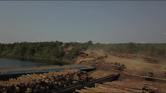 Deforestation of the Amazon rainforest: stacking logs on barges for transport - aerial flyover