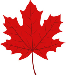 Vector illustration of maple leaf icon in flat style.