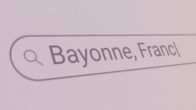 Search Bar Bayonne France 
Close Up Single Line Typing Text Box Layout Web Database Browser Engine Concept