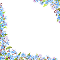 Fototapeta na wymiar Forget-me-not flowers frame, watercolor illustration isolated on white
