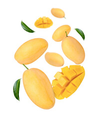 Yellow ripe mango with cut in half sliced and green leaves levitate isolated on white background. 