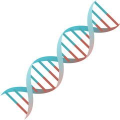 Cartoon DNA spiral genes isolated object illustration
