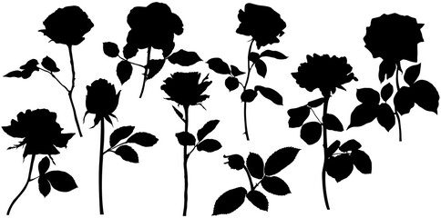 Pmg roses silhouettes. Leaves and flowers design elements on white background.
