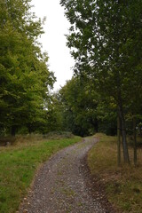 Fototapeta na wymiar a footpath traveling though the new park at hagley
