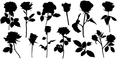 Pmg roses silhouettes. Leaves and flowers design elements on white background.
