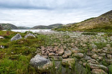 Fotobehang Summer landscape of green polar tundra with boulders in the foreground. Northern nature in the vicinity of Teriberka (Kola Peninsula, Russia) © kosmos111