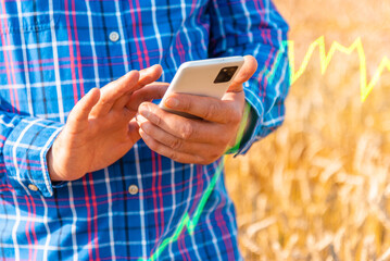 A male farmer or agronomist with phone in his hands in a field of golden wheat. Smart farm. The concept of a rich harvest. Sunset warm light. Man checking quality and growth of crops for agriculture.