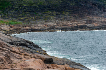 Summer tundra. Rocky coastline of Barents Sea near Teriberka. Scenery of Russian North. Kola Peninsula, Murmansk Oblast, Russia