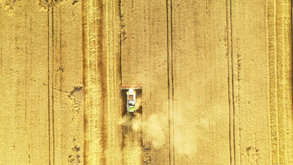 Field of ripe wheat. Drone view. Abstract natural background.
