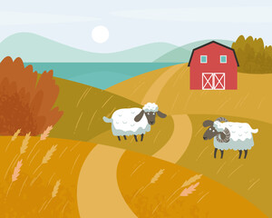 Autumn rural scene. White sheep with black muzzles graze in a meadow. Red farm in the fall background. Vector flat illustration.