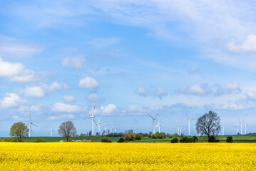 Windmill park in rapeseed field. Wind energy concept.