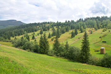 Landscapes of Carpathian Mountains near Synevyr National Nature Park, Ukrainian Carpathians in summer, rural meadow real view of the mountains. Beautiful nature of the Karpaty, Vyshkiv, Ukraine