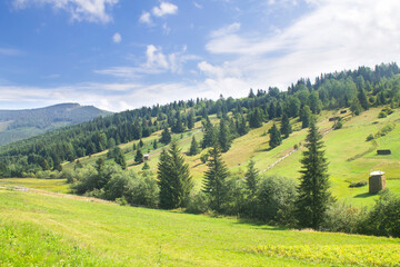 Landscapes of Carpathian Mountains near Synevyr National Nature Park, Ukrainian Carpathians in summer, rural meadow real view of the mountains. Beautiful nature of the Karpaty, Vyshkiv, Ukraine