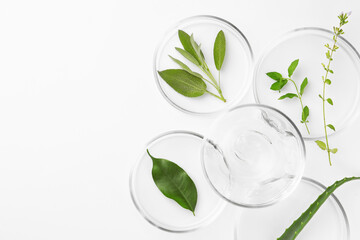 Petri dishes with different plants and cosmetic product on white background, top view. Space for...