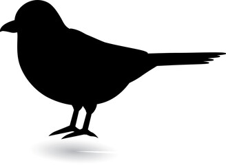 Robin Bird vector silhouettes 
