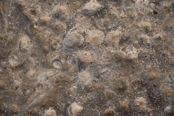 hollow wet soil surface, brown soil, uneven undulating stretch, soil mixed with sandy soil