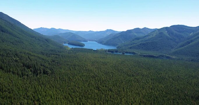 High FPV Aerial of Washington State Wilderness Environment