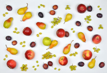 White background with  fresh, ripe isolated fruits : plums, apples, pears and  branches and separate berries of green grapes . Autumn colorful pattern from different fresh fruits . top view flat lay.