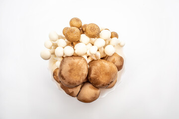 Various type of mushroom set on white background. Selective focus.