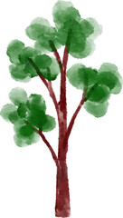 Watercolor Tree Illustration
