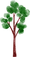 Watercolor Tree Illustration
