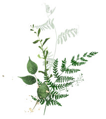 Watercolor greenery arrangement on white background. Green wild meadow plants, fern branches, leaves, golden splashes.