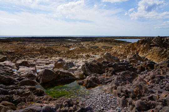 Eroded limestone rocks and tide pools at low tide on the Worms Head Causeway