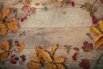 Branch with autumn dry oak leaves on rustic wooden background. Top view, flat lay.