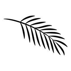 palm leaf silhouette illustration
