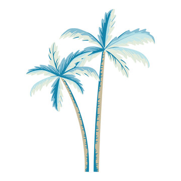 palm tree illustration	