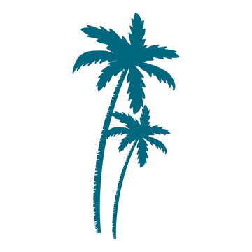 palm tree silhouette illustration