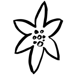 Textured hand drawn ink holly flower christmas illustration 