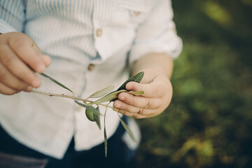 hands of the child