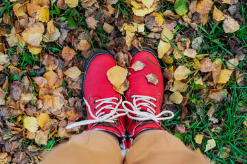 Red women's shoes top view on a background of yellow autumn foliage. Walk in the September park.