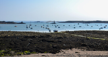 Bay with harbor at low tide