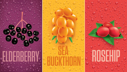 Drinks and juice background with drops and Elderberry, Rose hip, Sea Buckthorn	
